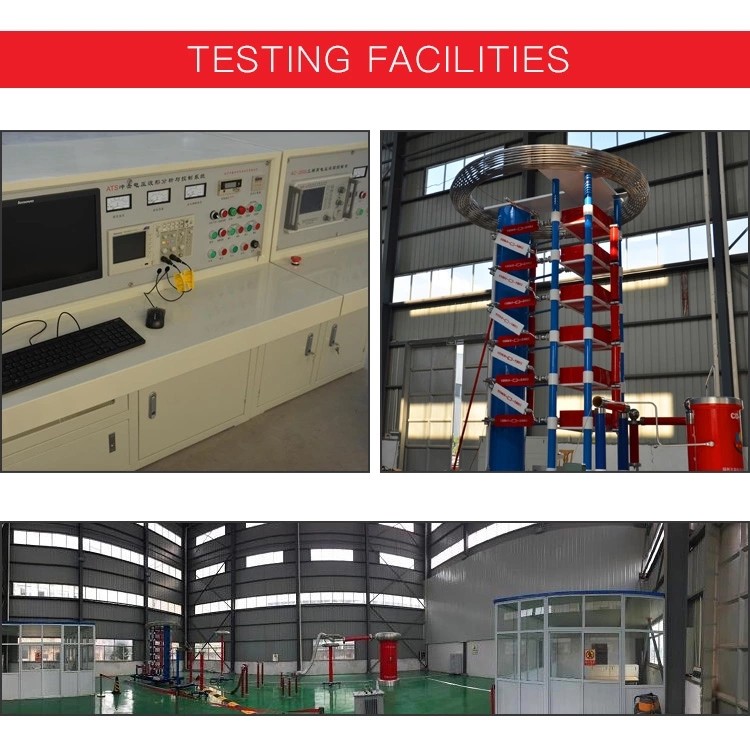 4.Composite Silicone Polymer Insulators testing facility.jpg